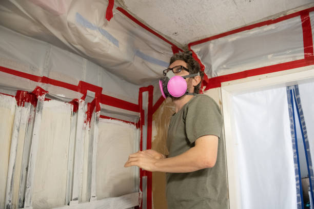 Best Water Damage & Mold Remediation  in Palm Valley, FL