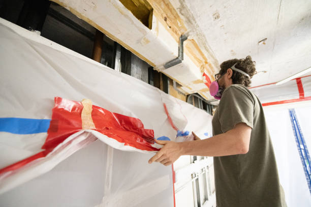 Best Emergency Mold Remediation  in Palm Valley, FL