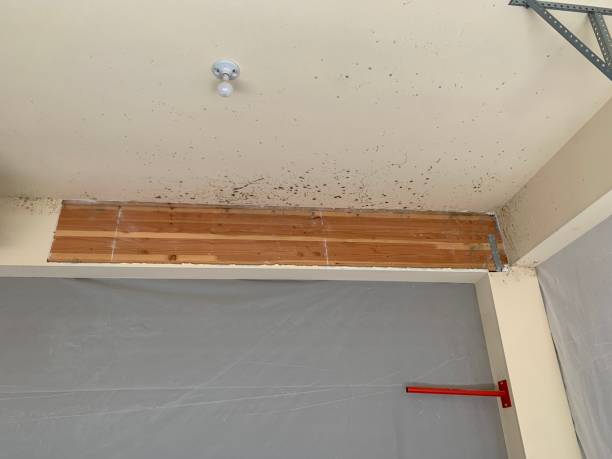Best Indoor Air Quality Assessment  in Palm Valley, FL