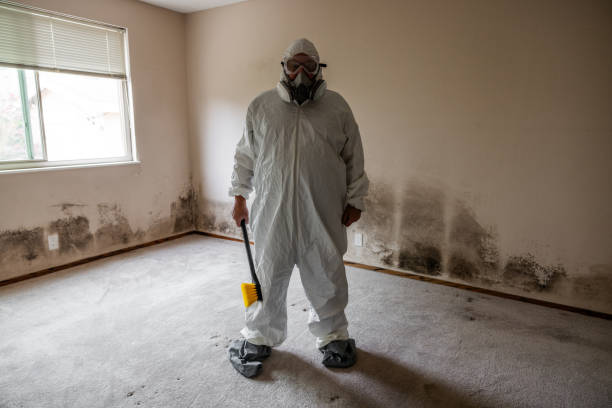 Asbestos and Lead Testing During Mold Inspection in Palm Valley, FL
